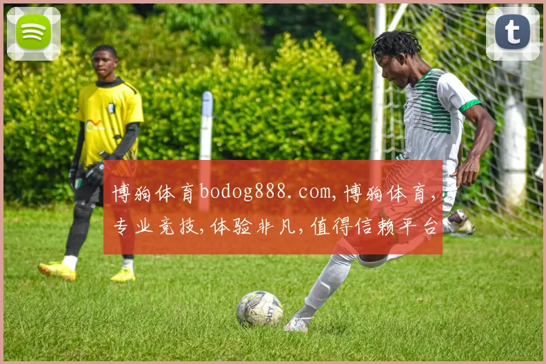 博狗体育bodog888.com,博狗体育,专业竞技,体验非凡,值得信赖平台